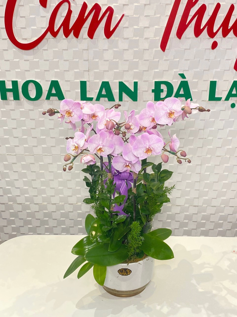 LAN HỒNG 11