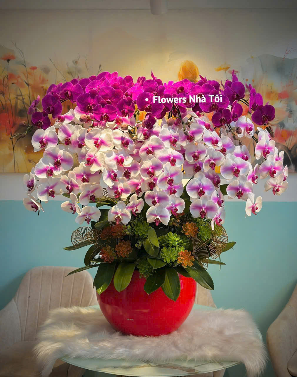 Chậu Lan 17 Cành 2 Màu 