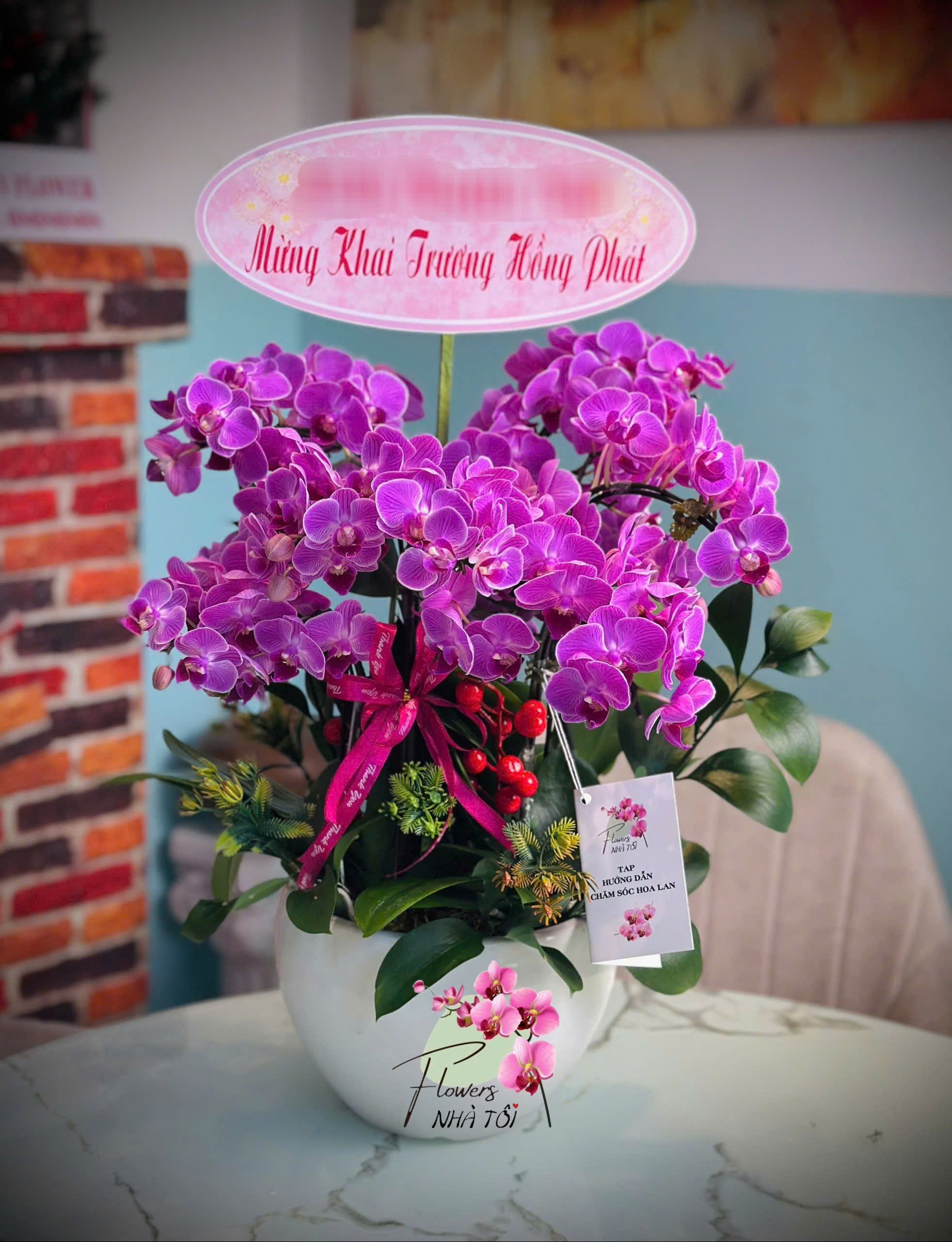 Chậu Lan Hồng Mini 2 Vòi 