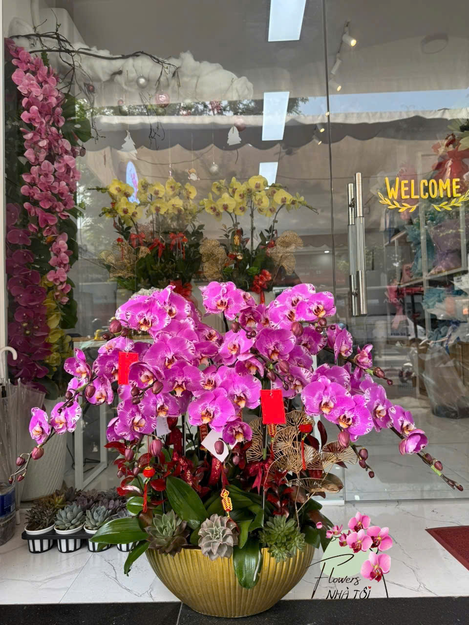 Chậu 12 Cành Bản Đồ 