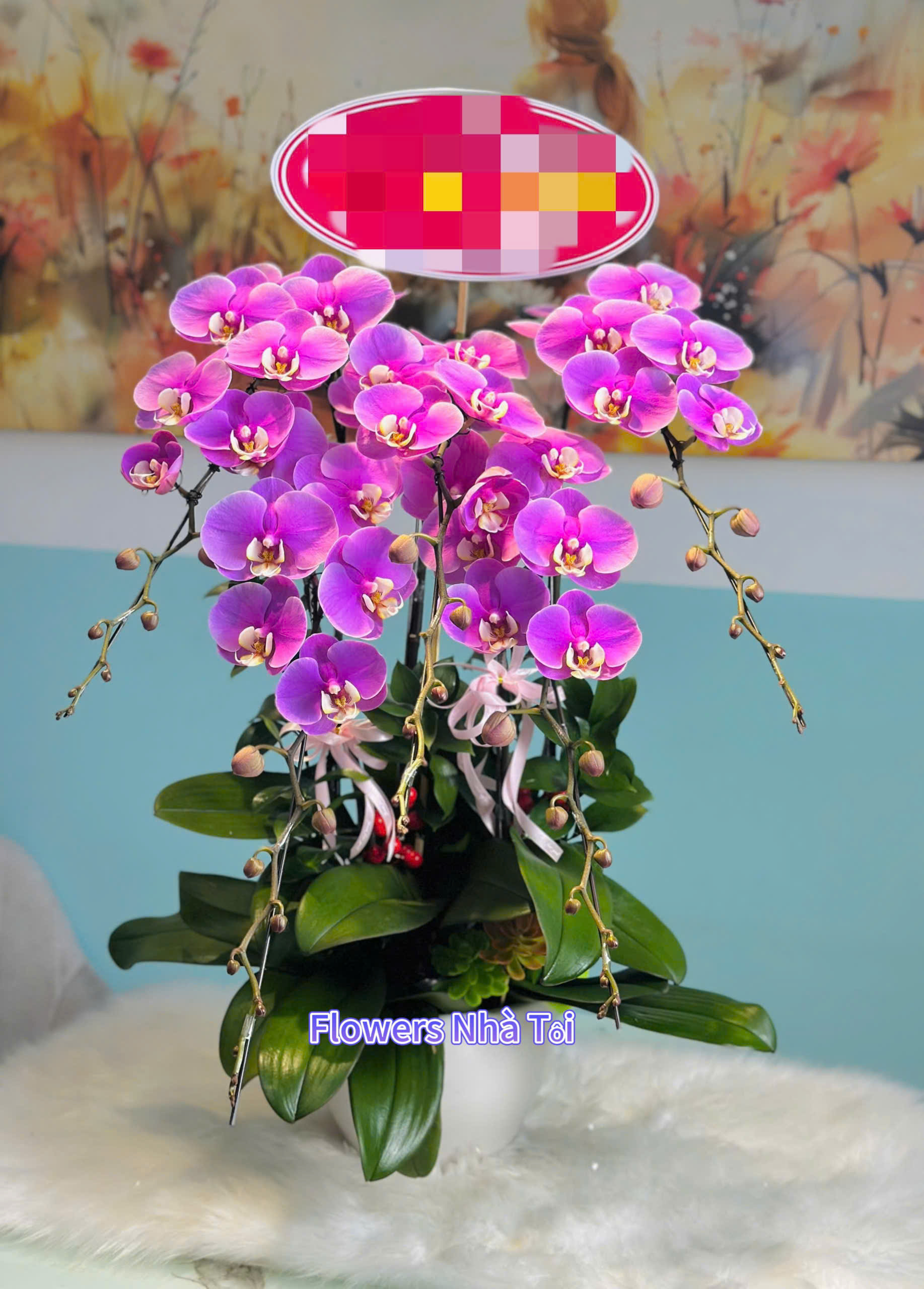 CHẬU LAN HỒNG HANA 5 CÀNH 