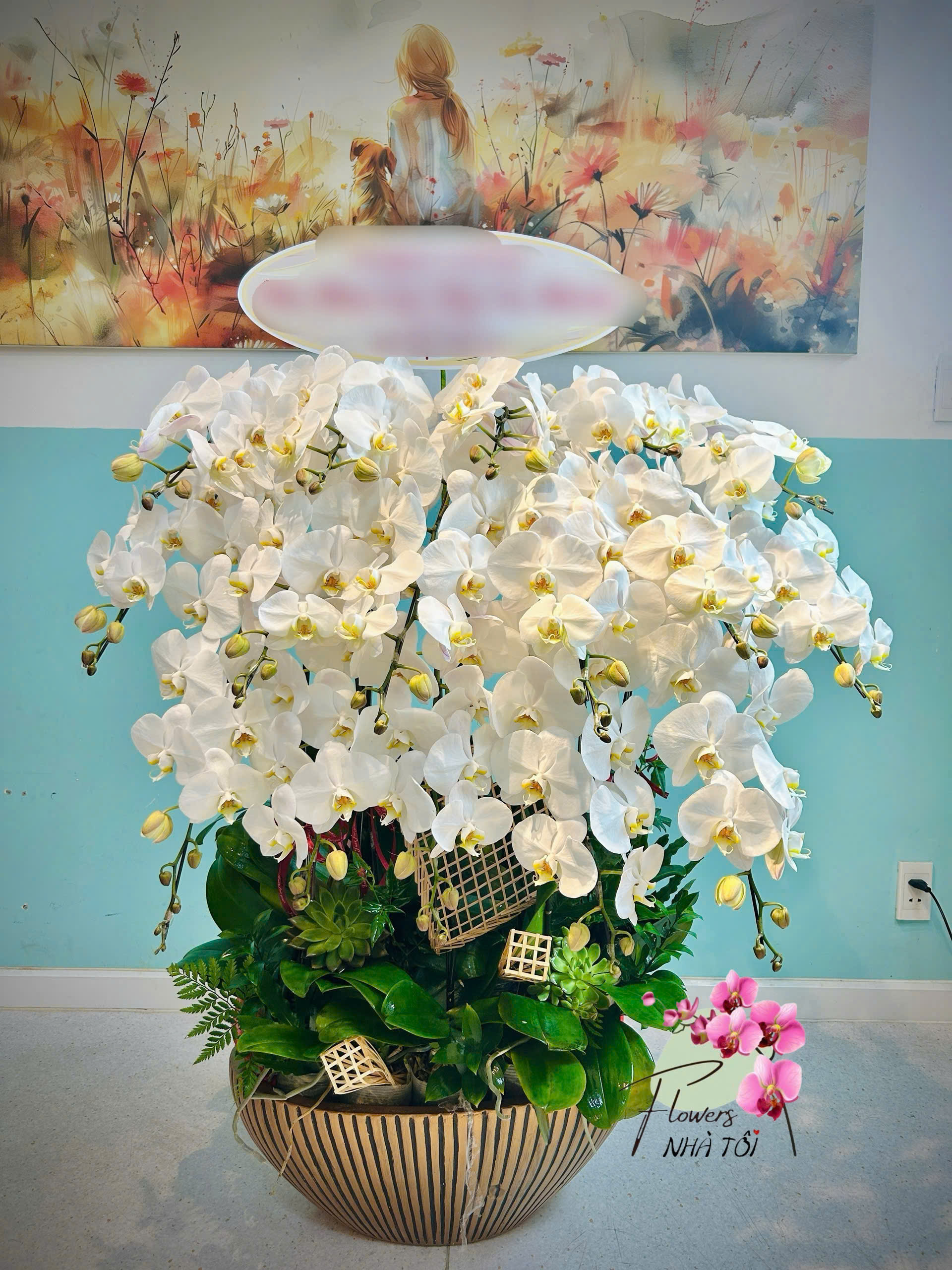 Chậu Lan 16 Cành Trắng