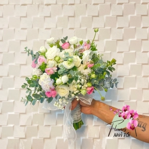 Lan Hồ Điệp Cẩm Thụy